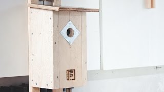 Building a Birdhouse  Things to Consider [upl. by Anh]