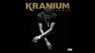 Kranium  Last Night with Lyrics [upl. by Latoye]