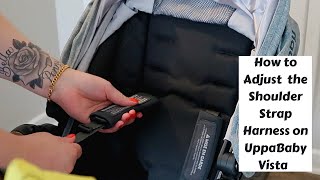 How To Adjust The Shoulder Strap Harness On UppaBaby Vista Stroller [upl. by Pizor890]