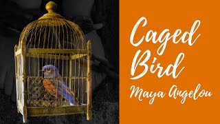 ANALYSIS Caged Bird🦜  By Maya Angelou Poem [upl. by Karlee84]