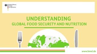 quotUnderstanding global food security and nutritionquot [upl. by Longan]