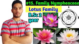 family NymphaeaceaeFloral daigram and Economic importance BSc 2 year [upl. by Key]