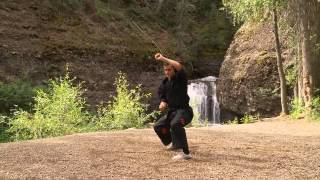 Kenpo Karate  Short Form 2 [upl. by Neeloc142]