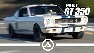 Loud Shelby GT350 Throws Down [upl. by Rosenblum]