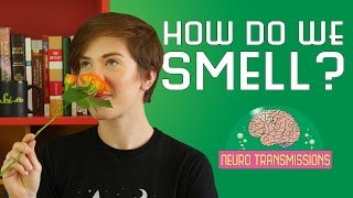 How Do We Smell [upl. by Tallie]