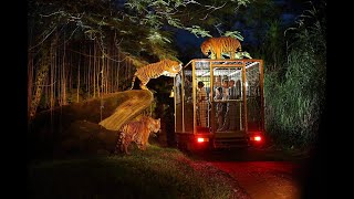 Bali  Night Safari [upl. by Sung]