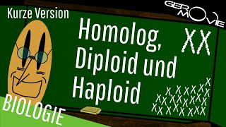 ► Homolog Diploid und Haploid  verständlich erklärt  Kurze Version [upl. by Nolyarb]