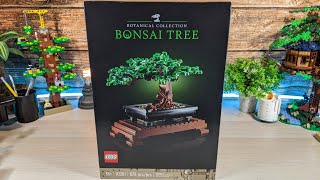 LEGO Botanical Collection Bonsai Tree 20281 🎧 Pure Builds [upl. by Renckens]