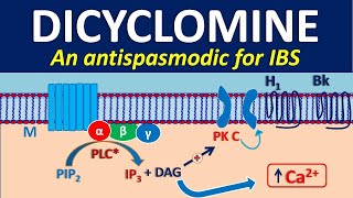 Dicyclomine as antispasmodic [upl. by Tarrah726]