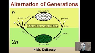 Alternation of Generations [upl. by Krissie]