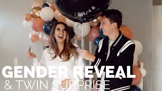 GENDER REVEAL  TWIN SURPRISE REVEAL  heather fern [upl. by Ellenoj]