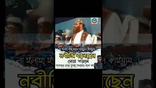 সাগরের ফেনা তুল্লু গুনাহ মাফ করে দিবেন Allama Delwar Hossain Saidi waz subscribe viralvideo [upl. by Zak547]