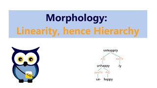 Morphology Linearity hence Hierarchy [upl. by Oiznun]