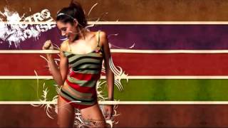 Catwork Remix Engineers Ft Irene Cara What a Feeling Electro House 2011 [upl. by Dlnaod574]