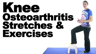 What is Osteoarthritis  A short Introduction [upl. by Woermer624]