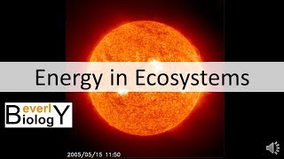 Energy in Ecosystems updated [upl. by Baiss]