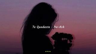 Te Quedaste  HaAshLETRA [upl. by Ocsisnarf]