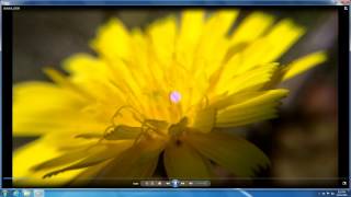 How to Open MP4 files Windows 7 Windows Media Player KLite Codec [upl. by Novat]