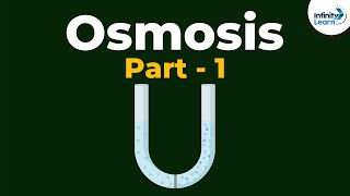 What is Osmosis  Part 1  Cell  Infinity Learn [upl. by Ailero]