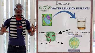 8 Osmosis Biology Form 1 [upl. by Juanne]