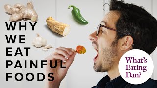 Why Do We Eat and Enjoy Painfully Spicy Foods  What’s Eating Dan [upl. by Kina]