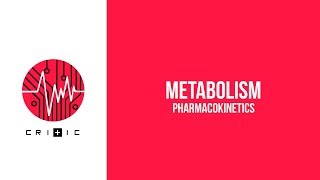 Metabolism  The Pharmacokinetics Series [upl. by Alisa]