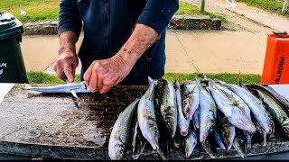 How to Fillet Skin amp Clean King George Whiting [upl. by Jilly]