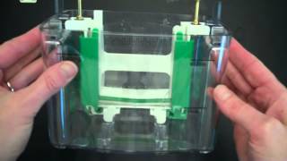 SDS PAGE Part 1 Assembly and Electrophoresis [upl. by Honan]