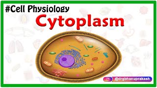 Cytoplasm  USMLE Cell Physiology Animations [upl. by Nnaira]