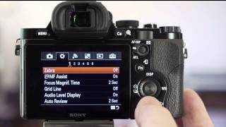 Sony Alpha A7  A7R Custom Settings Tutorial [upl. by At]