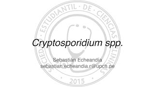 Cryptosporidium spp [upl. by Towill]