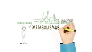 Metabolismus – o přeměně látek – NEZkreslená věda III [upl. by Udenihc]