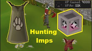 The best spots to hunt imps quotImp Boxesquot OSRS  2021 [upl. by Burkhard479]