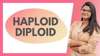 Haploid amp Diploid Explanation  Difference HINDI [upl. by Akit]