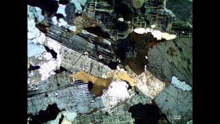 Thin section 2 [upl. by Emirac]