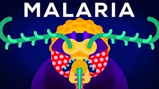 Genetic Engineering and Diseases – Gene Drive amp Malaria [upl. by Tandi440]