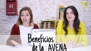 Beneficios y propiedades de la avena [upl. by Suivatnad]