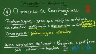 Introdução às Neoplasias  Resumo  Patologia Geral [upl. by Sherlocke]