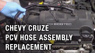 Chevy Cruze PCV Hose Assembly Replacement [upl. by Akialam576]