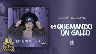 05 Natanael Cano  Quemando Un Gallo Official Audio [upl. by Joann]