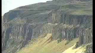 Trees of Stone  Ginkgo Petrified Forest State Park  Part 2 of 3 [upl. by Ettennyl]