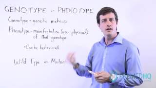 Genotype vs Phenotype [upl. by Hgielram]