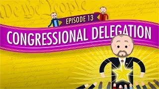 Congressional Delegation Crash Course Government and Politics 13 [upl. by Ava127]