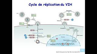 immunologie de linfection VIH partie 1 [upl. by Sral]