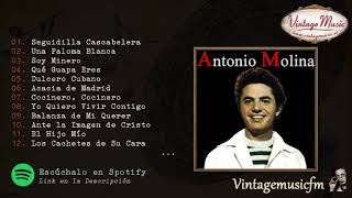 Antonio Molina Colección España 01 Full AlbumAlbum Completo [upl. by Hudnut432]