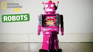 Meet Germanys first robot lecturer  DW Documentary [upl. by Barnabe]