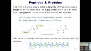 Chapter 23 – Protein Chemistry Part 7 of 10 [upl. by Kcor935]