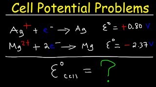 Cell Potential Problems  Electrochemistry [upl. by Bauske]