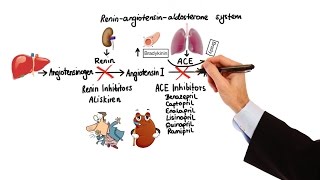 Pharmacology  HYPERTENSION amp ANTIHYPERTENSIVES MADE EASY [upl. by Newsom]