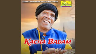 Kacha Badam [upl. by Nedi]